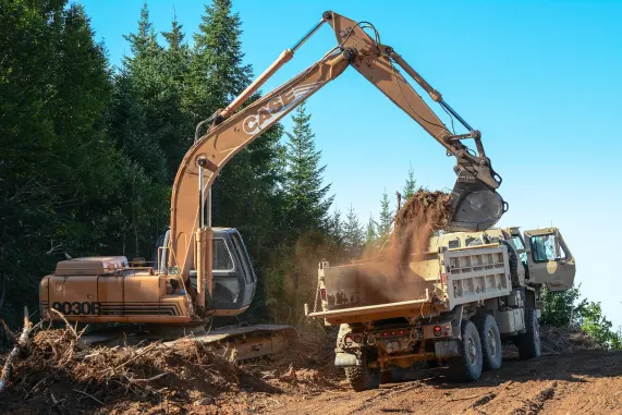 888Ladies Casino Supporto